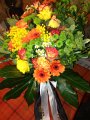bild043